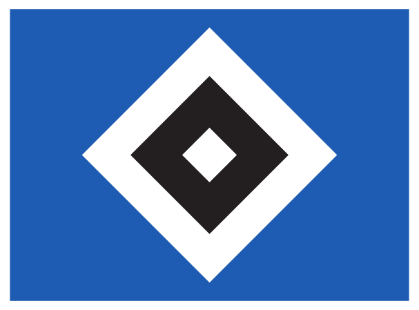 Foulard Officiel Hamburger SV HSV Motif Montée 24/25 - Écharpe Football Foulard Officiel Hamburger SV HSV Motif Montée 24/25 - Écharpe Football