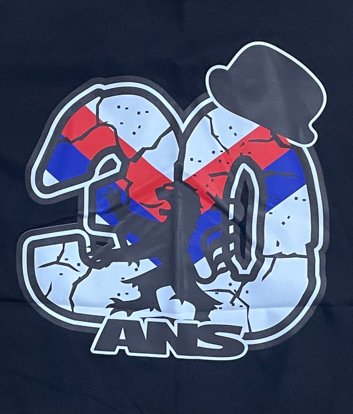 Olympique Lyonnais - T-shirt - 04 - S - XXL