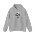 FC Augsburg - hoodi - 18 - S - 3XL