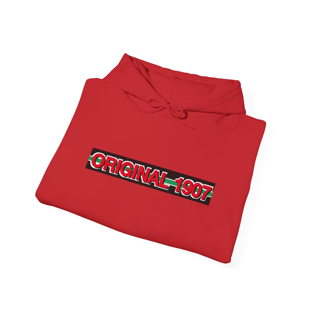 FC Augsburg - hoodi - 02 - S - 3XL