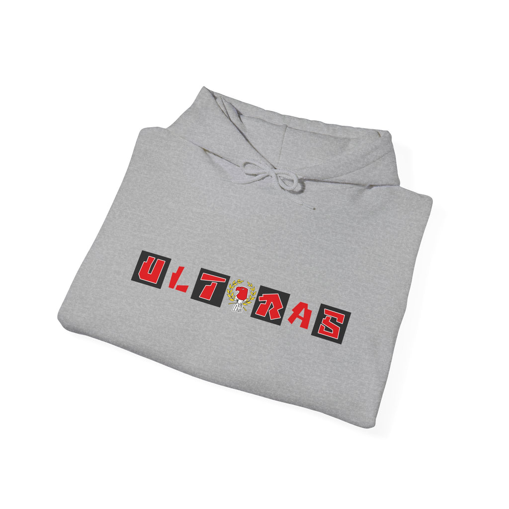 Eintracht Frankfurt - hoodie - 17 - S - 3XL