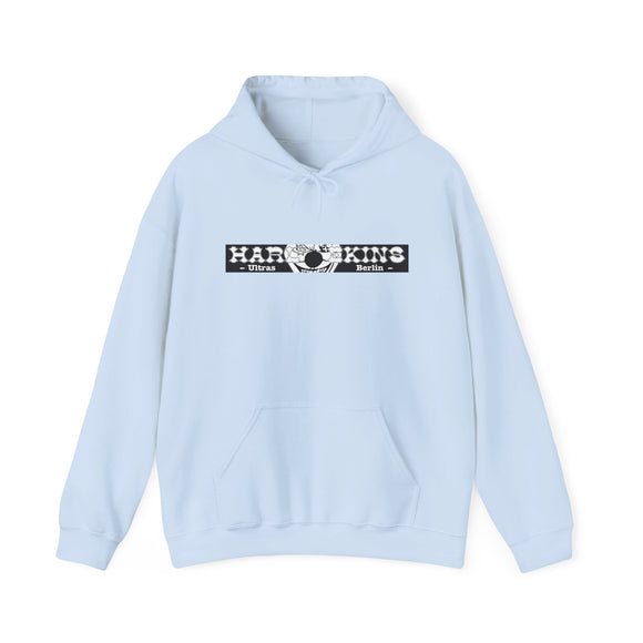 Hertha BSC - hoodie - 17 - S - 3XL - light blue