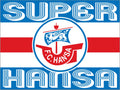 FC Hansa Rostock - flagge - 1,5 x 1 m
