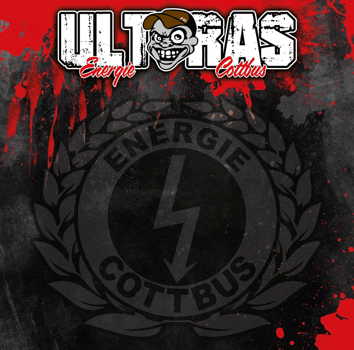 FC Energie Cottbus - Schlauchschal - 02
