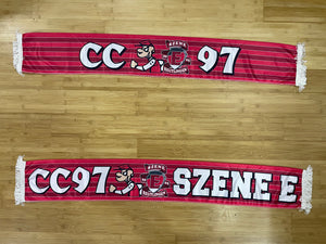 SSV Reutlingen 05 - VfB Stuttgart CC 97~SZENE E