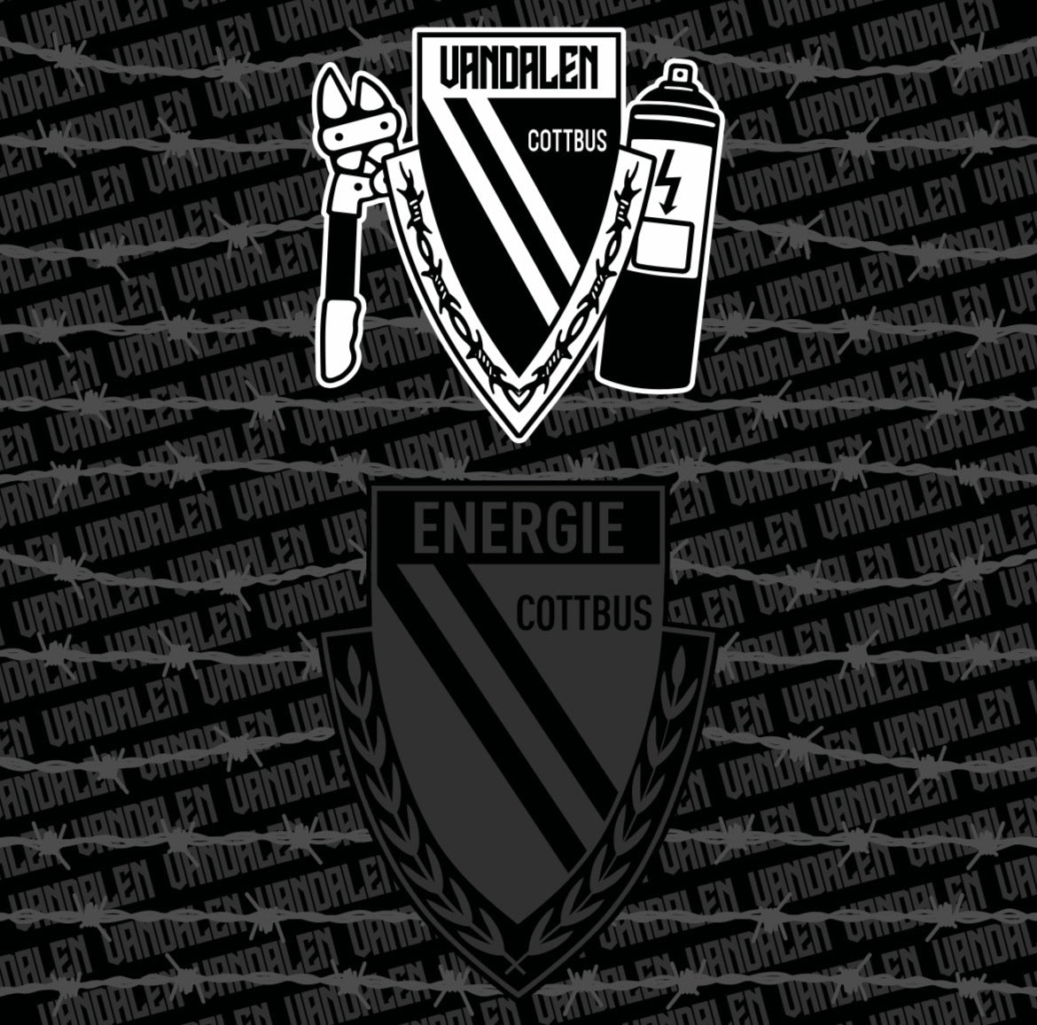 FC Energie Cottbus - Schlauchschal - 03