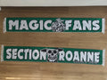 AS Saint-Étienne - 41 - MAGIC FANS SECTION ROANNE