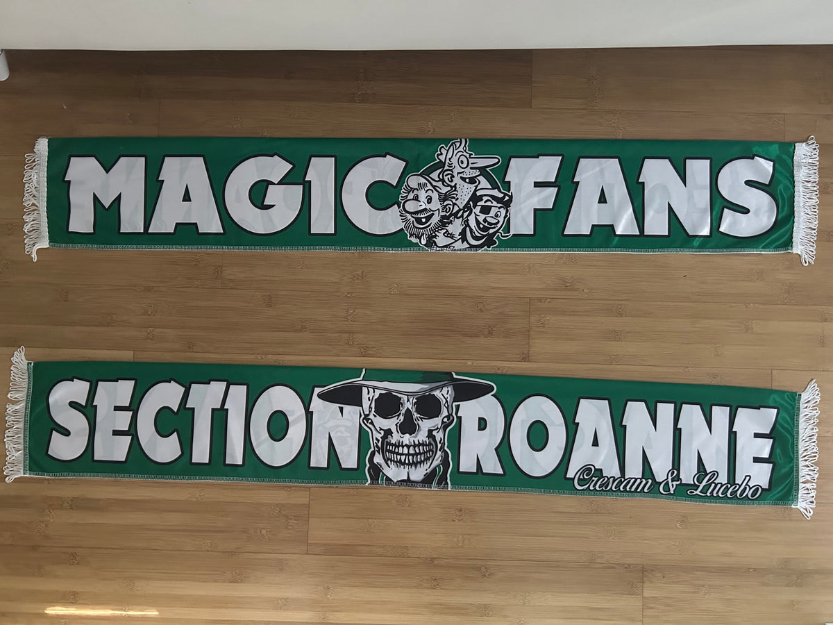 AS Saint-Étienne - 41 - MAGIC FANS SECTION ROANNE