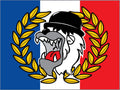 Olympique Lyonnais - drapeau - 2 x 1,5 m