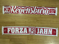SSV Jahn Regensburg - 12 - FORZA JAHN