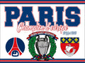 PSG - DRAPEAU - 2 x 1.5 m