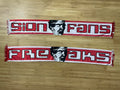 FC Sion - 1 - FREAKS / SION FANS
