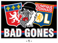 Olympique Lyonnais - DRAPEAU - 2 x 1.5 m