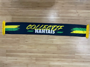 FC Nantes - 1 - COLLECTIF NANTAIS