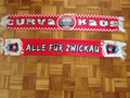 FSV Zwickau - 1 - CURVA KAOS