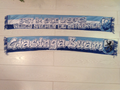 TSV 1860 MÜNCHEN - 11 - giasinga buam